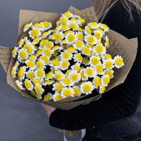 Букет "Моё солнышко" из 11 хризантем сантини  в Раменском