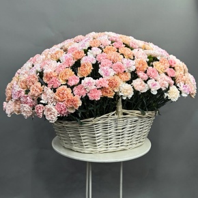 Композиция в корзине из 251 диантуса микс в Раменском