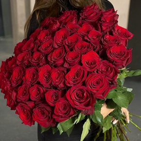 Букет 51 роза Эквадор Эксплорер (70 см) в Раменском