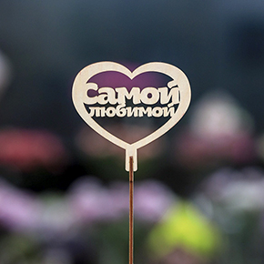 Топпер Самой Любимой в Раменском