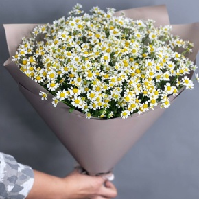 Букет из 17 ромашек танацетум в Раменском