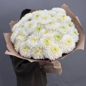 Букет из 27 хризантем Магнум в Раменском