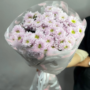 Букет "Нежный комплимент" из 9 кустовых хризантем в Раменском