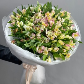 Букет "Зарина" из 37 альстромерий микс в Раменском