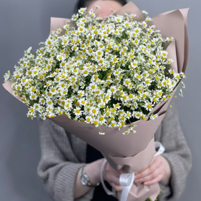 Букет из 17 полевых ромашек в Раменском