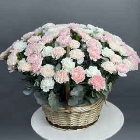 Композиция в корзине из 101 диантуса микс в Раменском