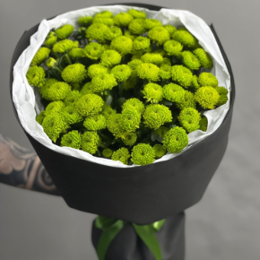 Стильный букет "Лайм" из 15 хризантем сантини в Раменском