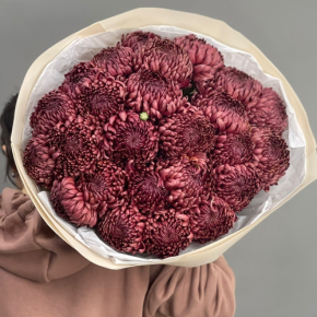 Букет 21 шоколадной хризантемы Бигоуди в Раменском