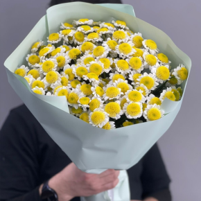 Букет "Моё солнышко" из 17 хризантем сантини  в Раменском