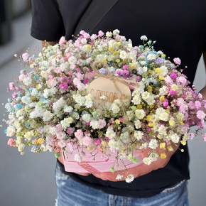 Композиция в коробке сердца из радужных гипсофил с топпером в Раменском