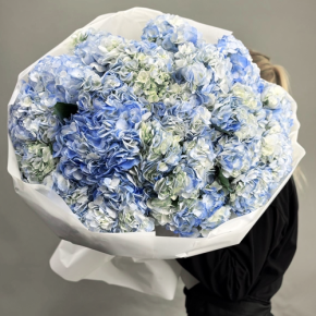 Букет из 23 синих гортензий в Раменском