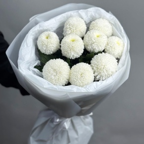Букет из 9 белых хризантем Момоко в Раменском