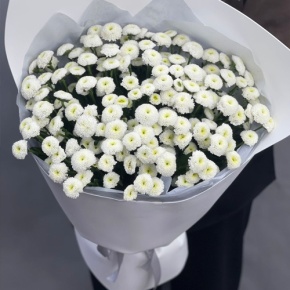 Букет "Белая дымка" из 25 хризантем сантини в Раменском