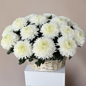 Композиция в корзине из 25 хризантем Магнум в Раменском