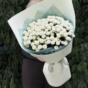 Букет из 25 хризантем Ньютон в Раменском