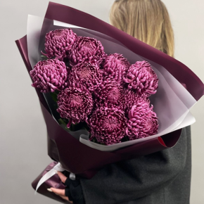 Букет "Изобилие" из 11 винных хризантем Бигоуди в Раменском