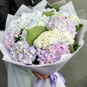 Букет из 9 Голландских гортензий микс в Раменском