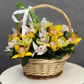 Композиция в корзине из 25 орхидей микс в Раменском