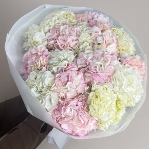 Букет из 17 нежных гортензий в Раменском