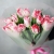 Букет "Фламинго" из 11 пионовидных тюльпанов в Раменском
