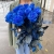 15 синих LUX роз Эквадор (70 см) в Раменском 15 синих LUX роз Эквадор (70 см) в Раменском