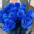 15 синих LUX роз Эквадор (70 см) в Раменском 15 синих LUX роз Эквадор (70 см) в Раменском