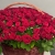 Композиция в корзине из 151 красной розы в Раменском