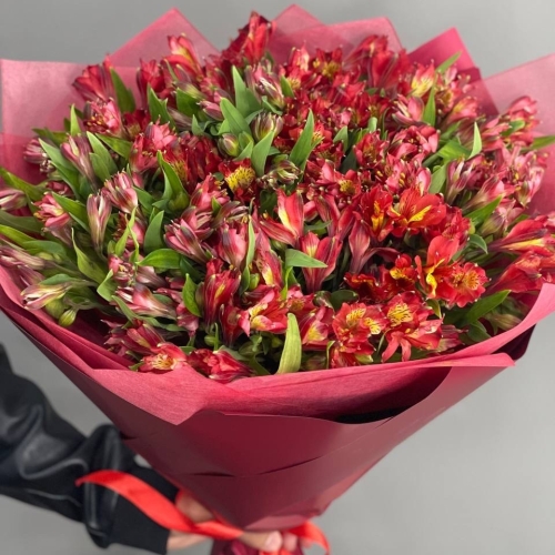 Монобукет из 25 красных альстромерий в Раменском