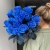 15 синих LUX роз Эквадор (70 см) в Раменском 15 синих LUX роз Эквадор (70 см) в Раменском