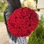Букет 51 красной розы 50 см в Раменском