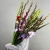 Букет из 25 гладиолусов микс в Раменском