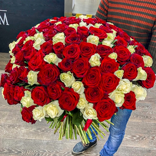 Букет 151 роза красный и белый микс (60 см) в Раменском