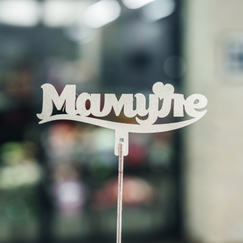 Топпер Мамуле в Раменском