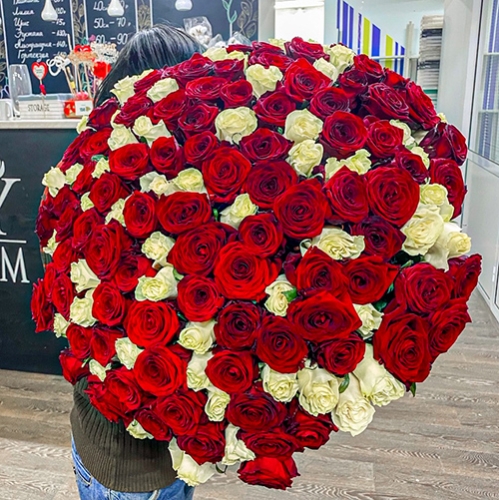 Букет 151 роза красный и белый микс (60 см) в Раменском