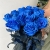 15 синих LUX роз Эквадор (70 см) в Раменском 15 синих LUX роз Эквадор (70 см) в Раменском