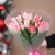 Букет "Фламинго" из 11 пионовидных тюльпанов в Раменском