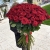 Букет из 101 красной розы (90 см) в Раменском