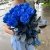 15 синих LUX роз Эквадор (70 см) в Раменском 15 синих LUX роз Эквадор (70 см) в Раменском