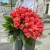 Букет 51 роза коралл (60 см) в Раменском