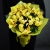Букет из 13 лимонных орхидей в Раменском Букет из 13 лимонных орхидей в Раменском